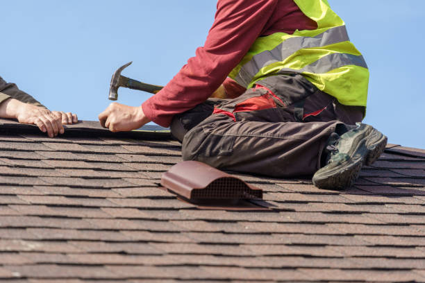 Best Roof Gutter Cleaning  in Charlotte, TN