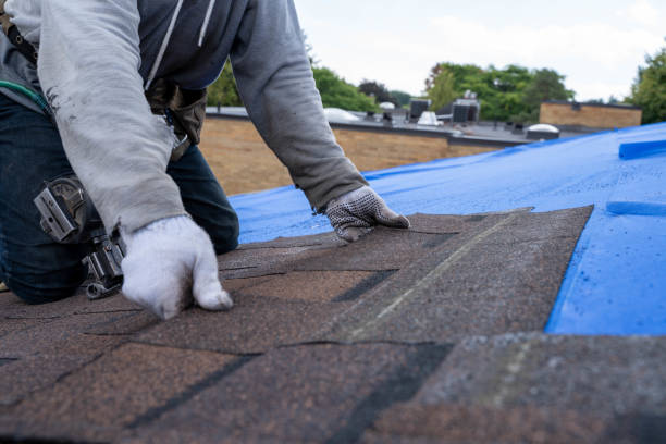 Roof Waterproofing Services in Charlotte, TN