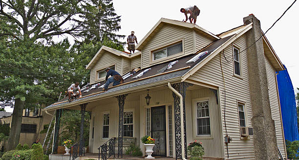 Best Metal Roofing Contractor  in Charlotte, TN