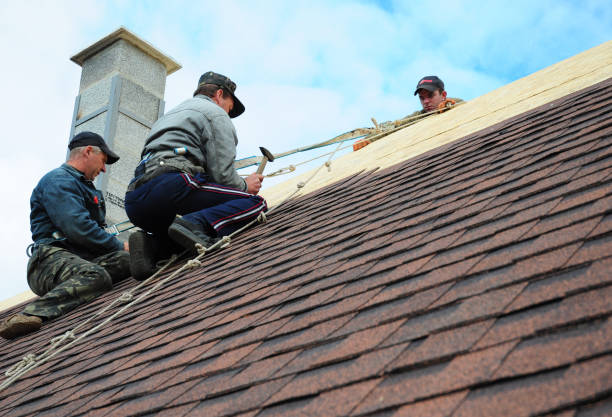 Best Roof Leak Repair  in Charlotte, TN