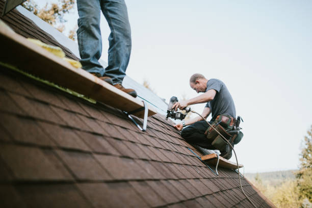 Professional Roofing Contractor in Charlotte, TN