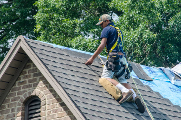 Best Storm Damage Roof Repair  in Charlotte, TN