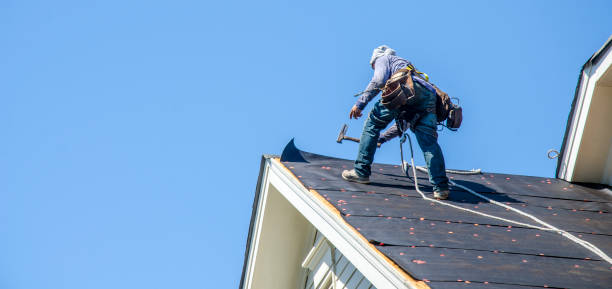 Best Storm Damage Roof Repair  in Charlotte, TN